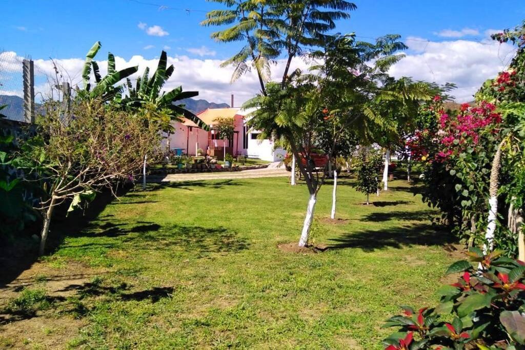 Kali-Mali Casa De Campo Eco-Friendly Malinalco Villa Kültér fotó